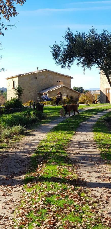 Quinta Damigo Guest House Seia Exterior photo
